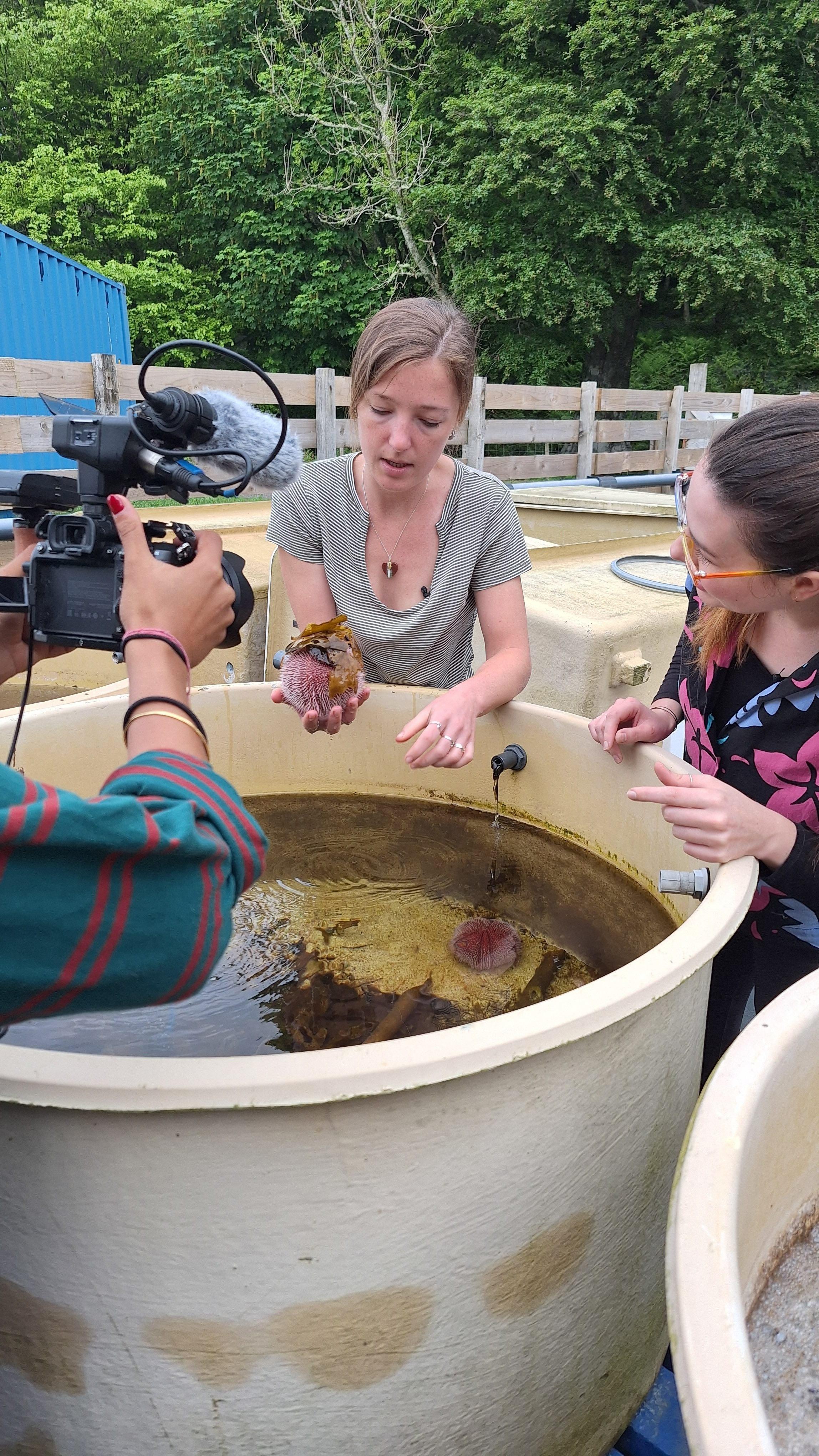 Maren and Kalyani Lodhia shoot a scene with kelp scientist, Reina Veenhof and a sea urchin, at the Scottish Association for Marine Science (SAMS).