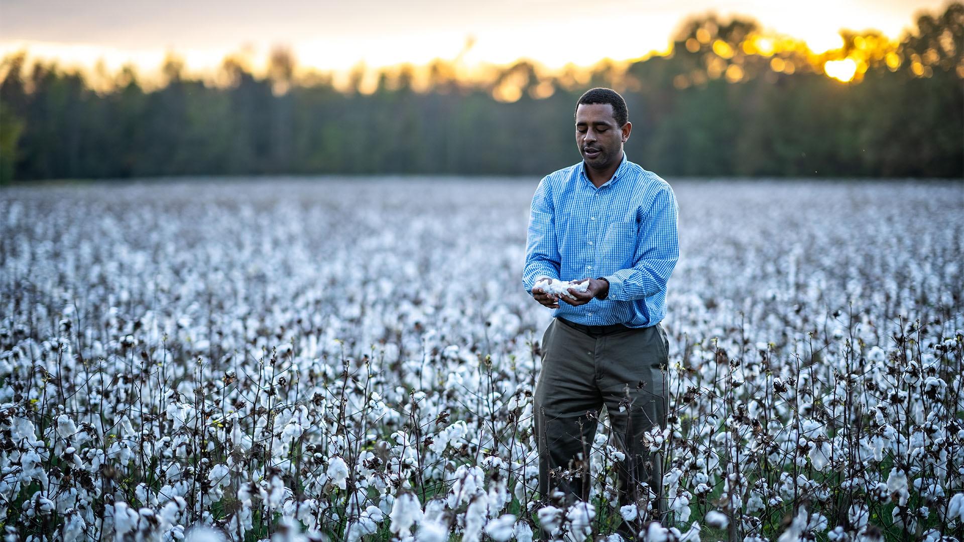 Closeup image of Julius Tillery amidst cotton.