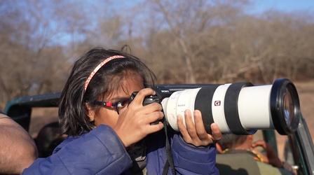 Video thumbnail: PBS News Hour 10-year-old wildlife photographer wins international acclaim